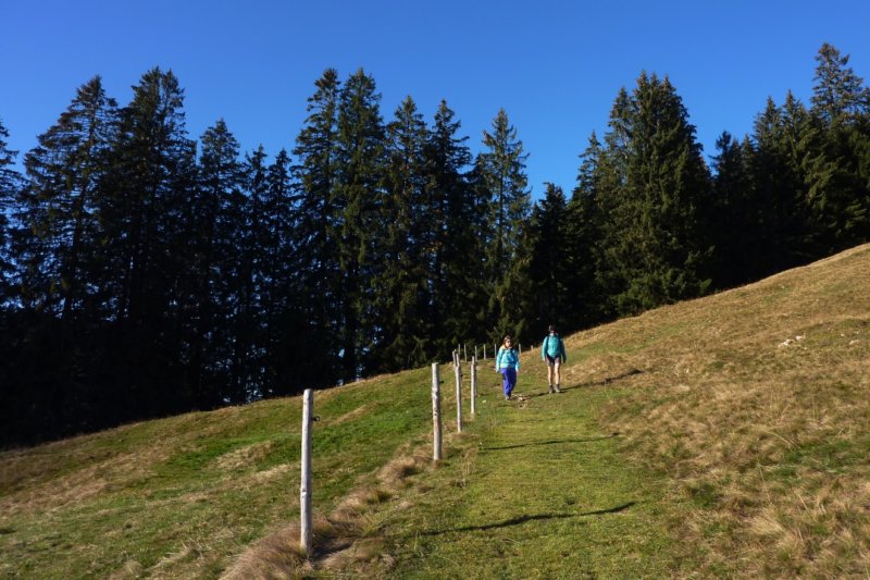 p1050737.jpg