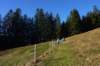 p1050737_small.jpg