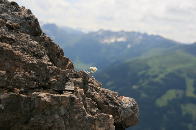 img_8897.jpg