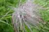 p1040325_small.jpg