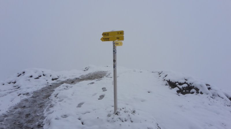 photo15.jpg