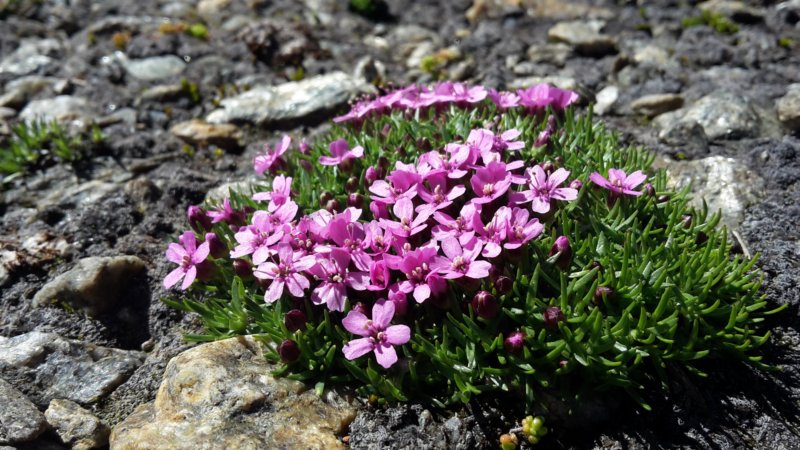 photo33.jpg