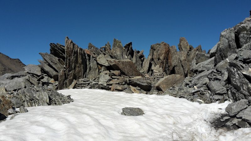 photo36.jpg