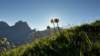 photo9_small.jpg