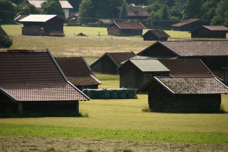img_6771.jpg
