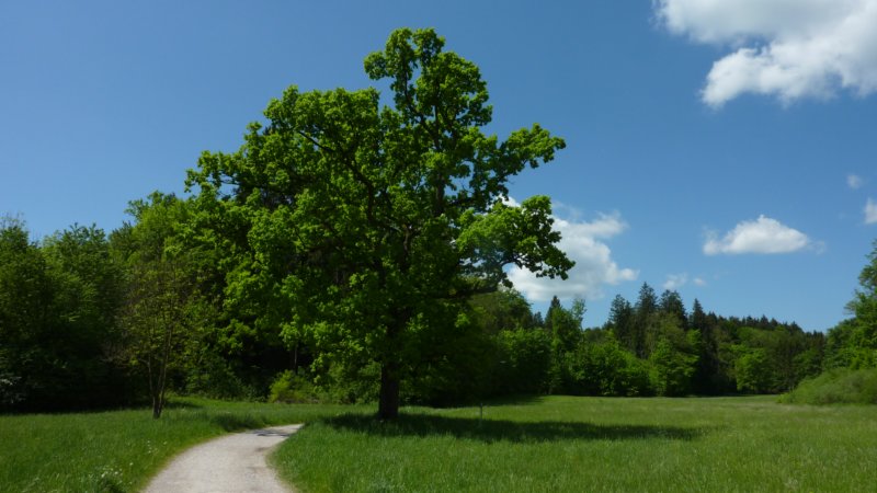p1120189.jpg