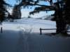 img_7600_small.jpg