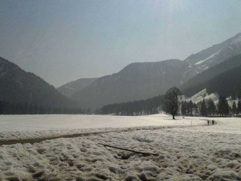 photo5.jpg