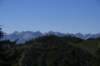img_9728_small.jpg