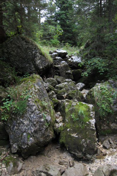 img_4513.jpg