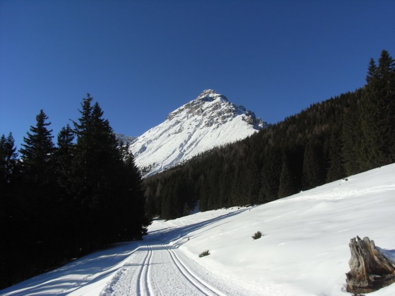 r0016380.jpg
