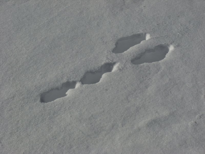 r0016406.jpg
