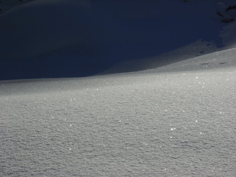 r0016517.jpg