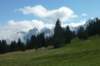 p1090608_small.jpg