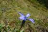 p1090816_small.jpg