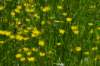 p1070648_small.jpg