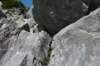 p1070722_small.jpg