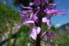 p1070737_small.jpg