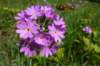 p1070754_small.jpg