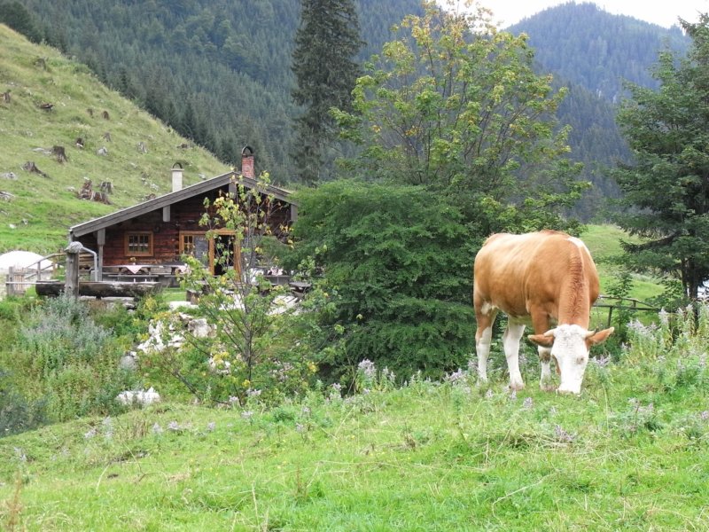 rimg0295.jpg