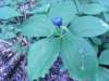 rimg0330_small.jpg