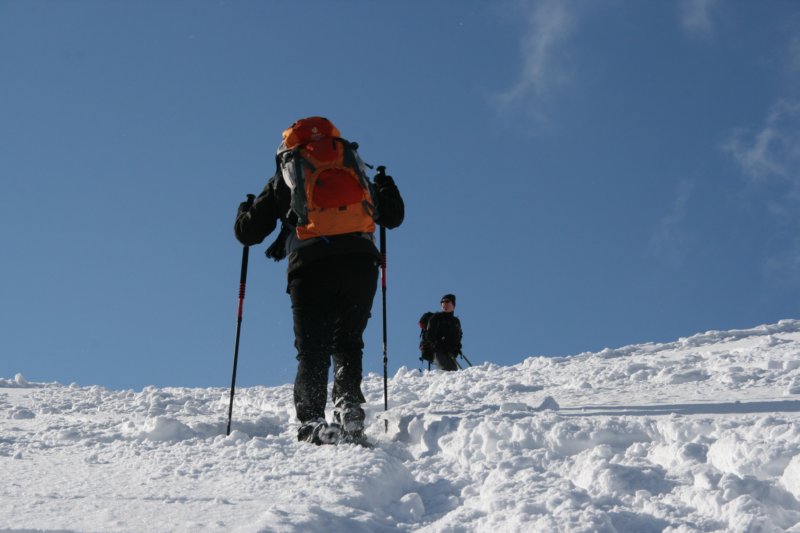 img_8333.jpg