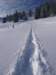 p1020238_small.jpg