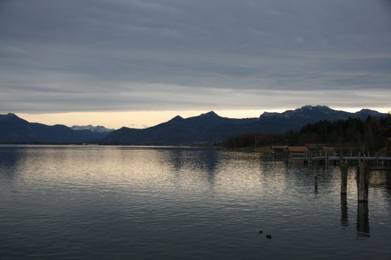 img_7447.jpg