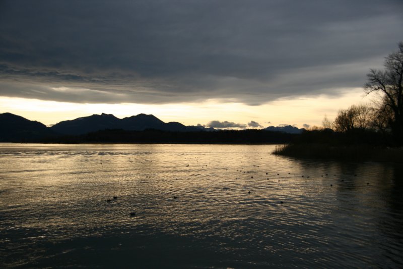 img_7493.jpg