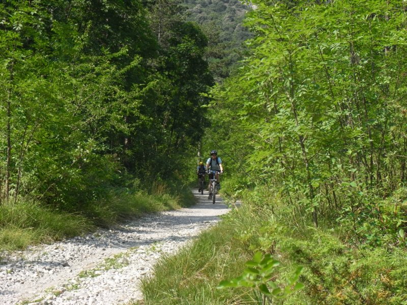 r0013364.jpg
