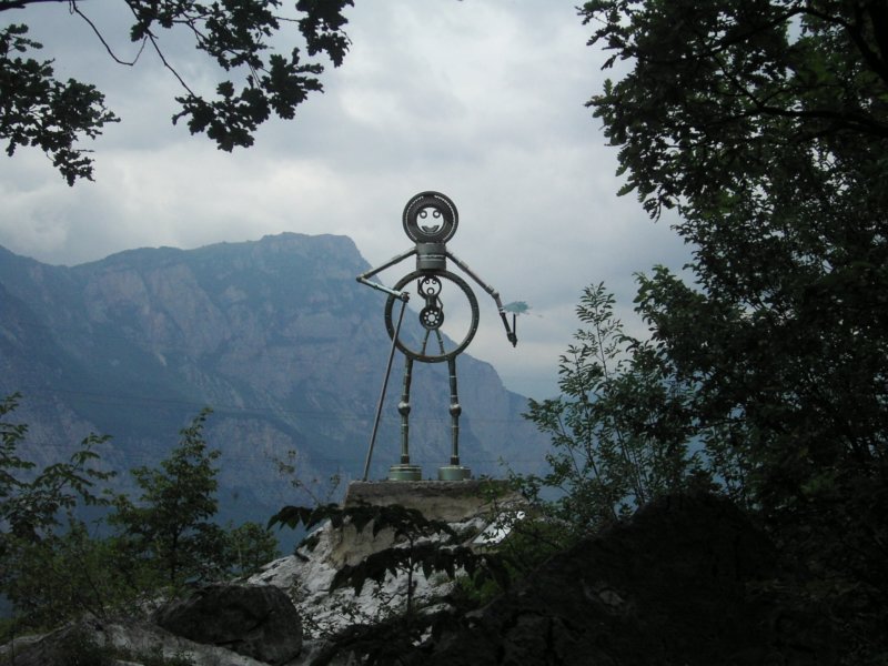 Photograph