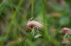 img_0343_small.jpg