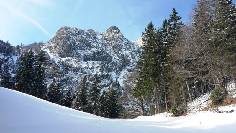 photo.jpg
