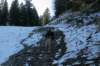 hirschberg_002_small.jpg