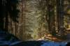 hirschberg_008_small.jpg