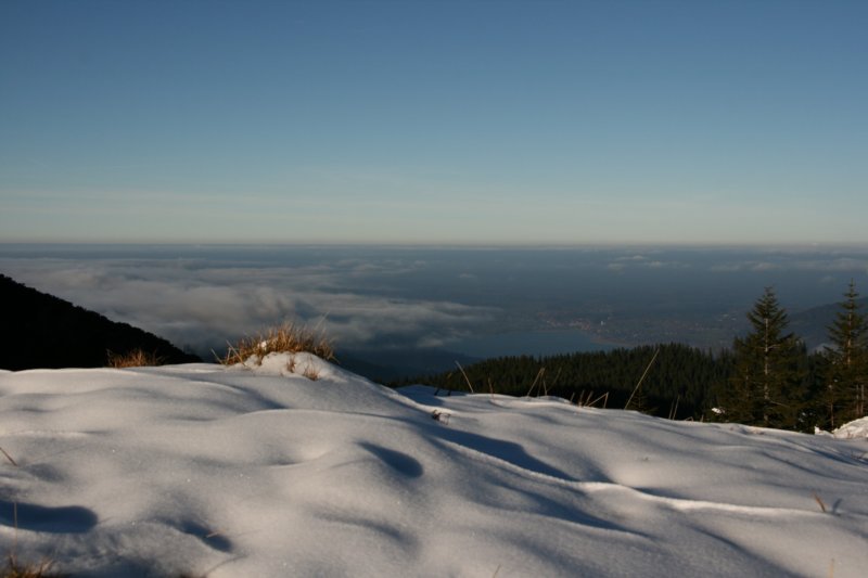 hirschberg_027.jpg