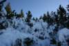 hirschberg_034_small.jpg