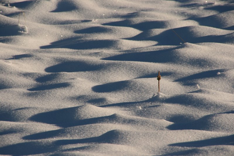 hirschberg_040.jpg