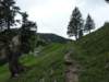 p1070375_small.jpg
