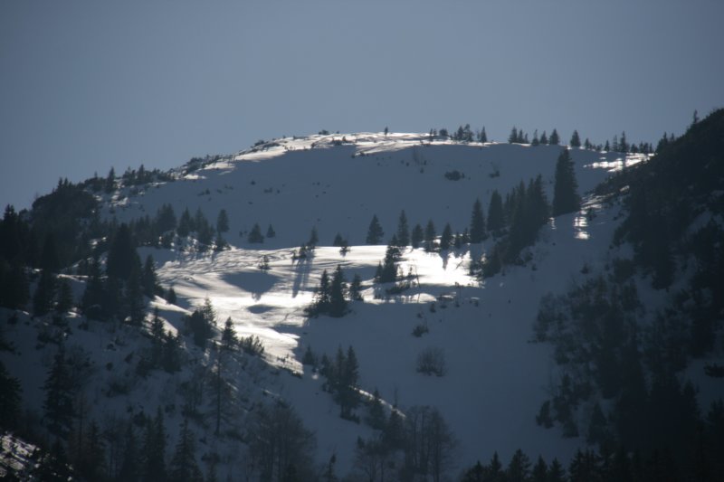 img_5551.jpg