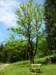 p1070451_small.jpg