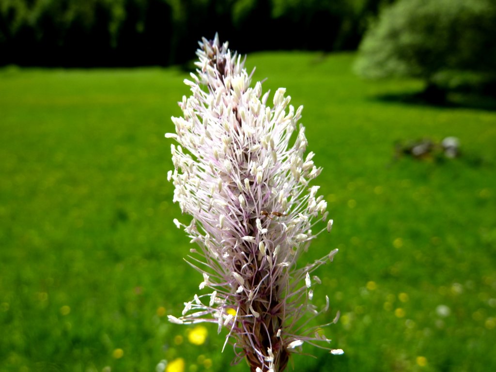 p1070454.jpg