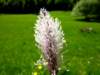 p1070454_small.jpg