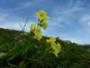p1070526_small.jpg