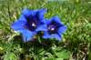 p1070535_small.jpg