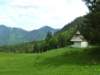 p1070557_small.jpg