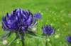 p1070568_small.jpg