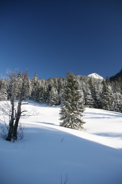 img_7921.jpg