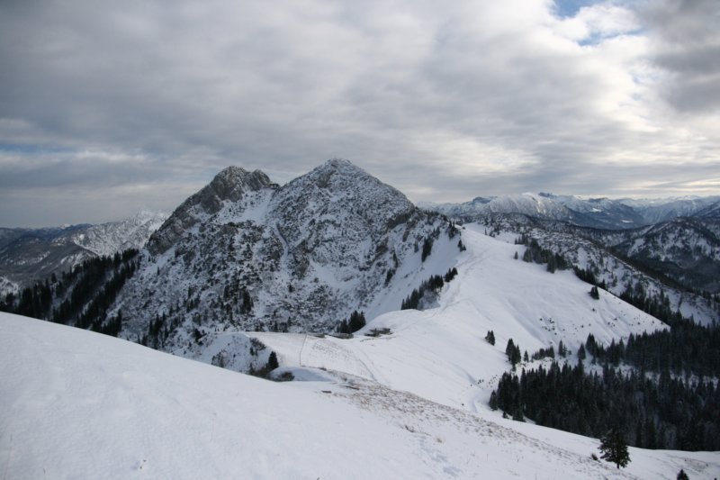 img_7950.jpg