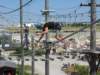 Photo Number 6